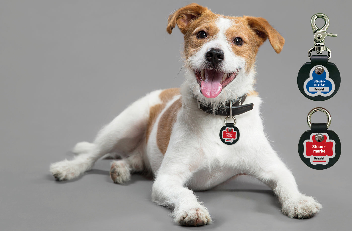 Humabu, der antiklimper Hundemarkenbund, Hundemarke klapperfrei, Hundemarkentasche wetterfest, Gravur