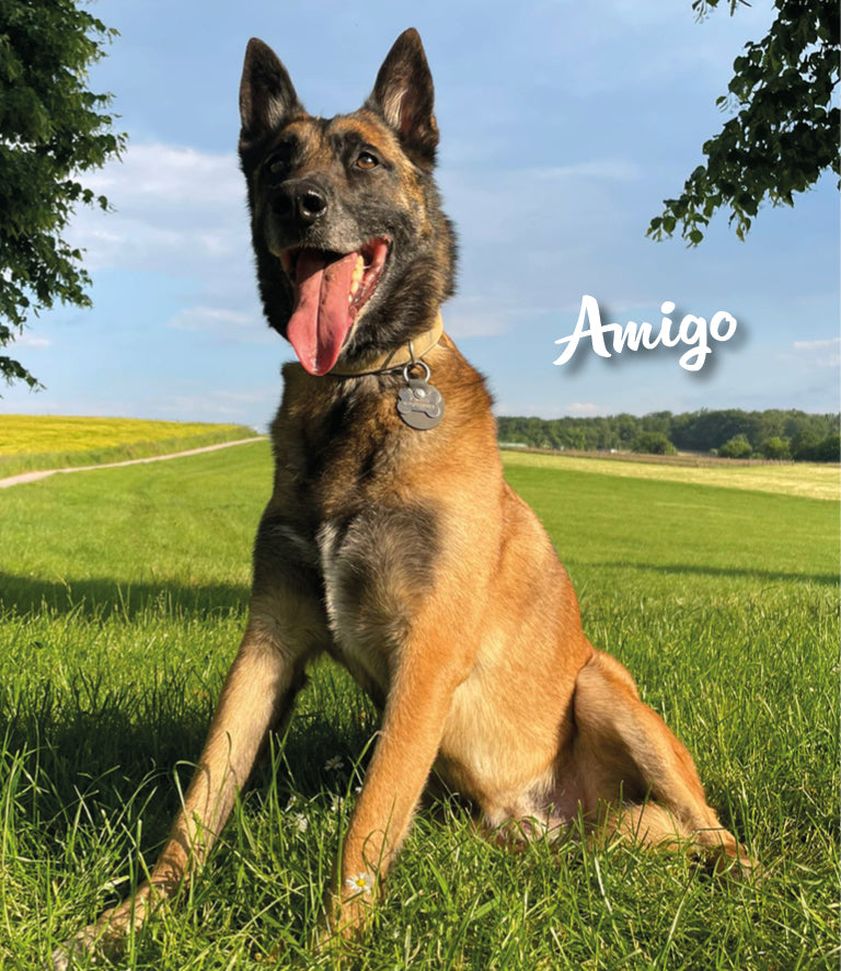 Humabu, der antiklimper Hundemarkenbund, Hundemarke klapperfrei, Hundemarke geräuschlos, Hundemarkentasche