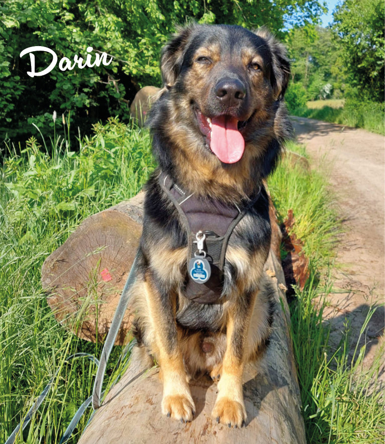 Humabu, der antiklimper Hundemarkenbund, Hundemarke klapperfrei, Hundemarke geräuschlos, Hundemarkentasche