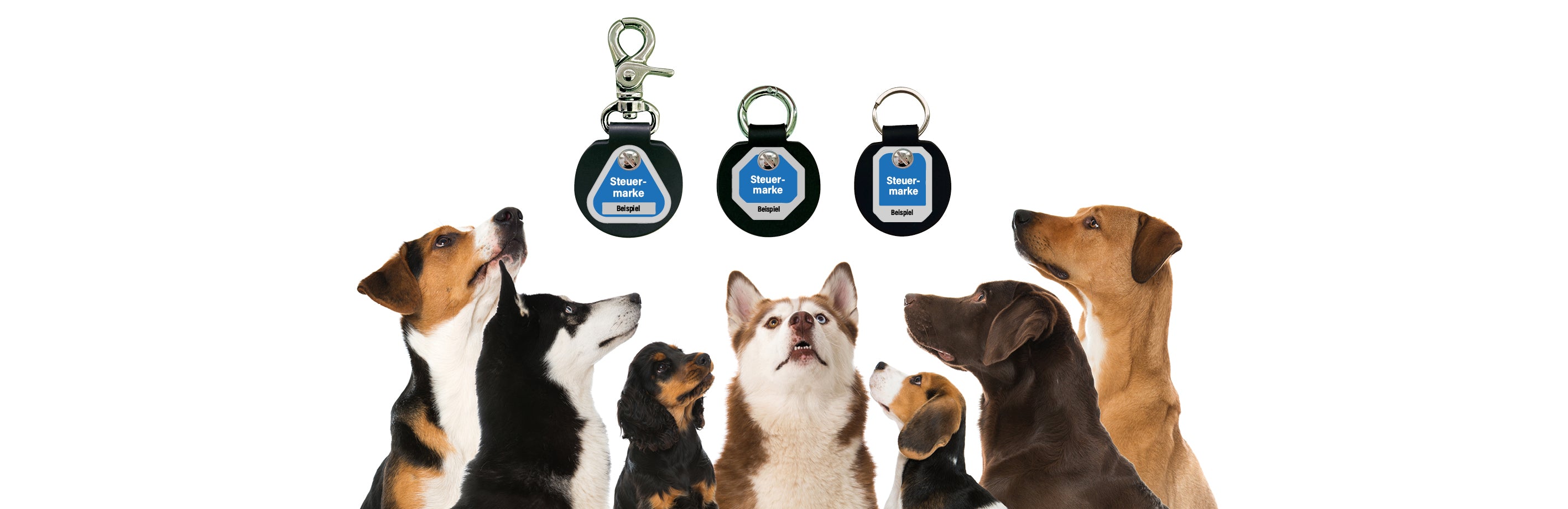Humabu, Hundemarkentasche, Hundemarke klapperfrei, geräuschlos tragen und einfach befestigen