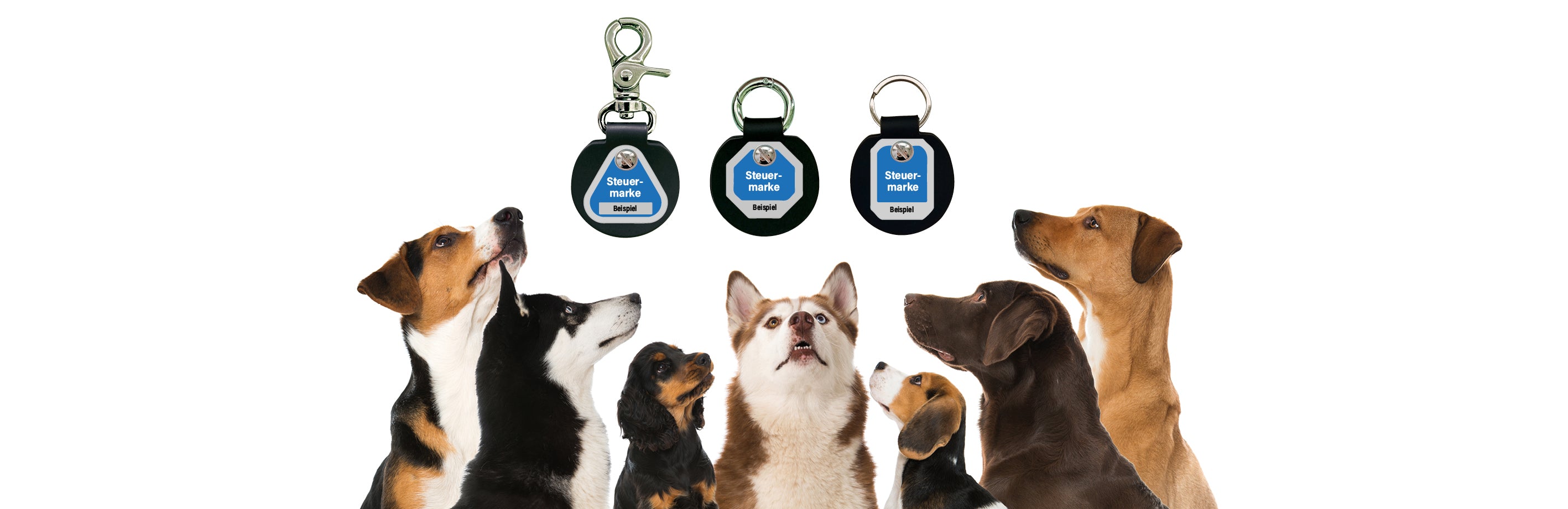 Humabu, die Alternative zur klassischen Hundemarkentasche, Hundemarke klapperfrei, geräuschlos tragen und einfach befestigen