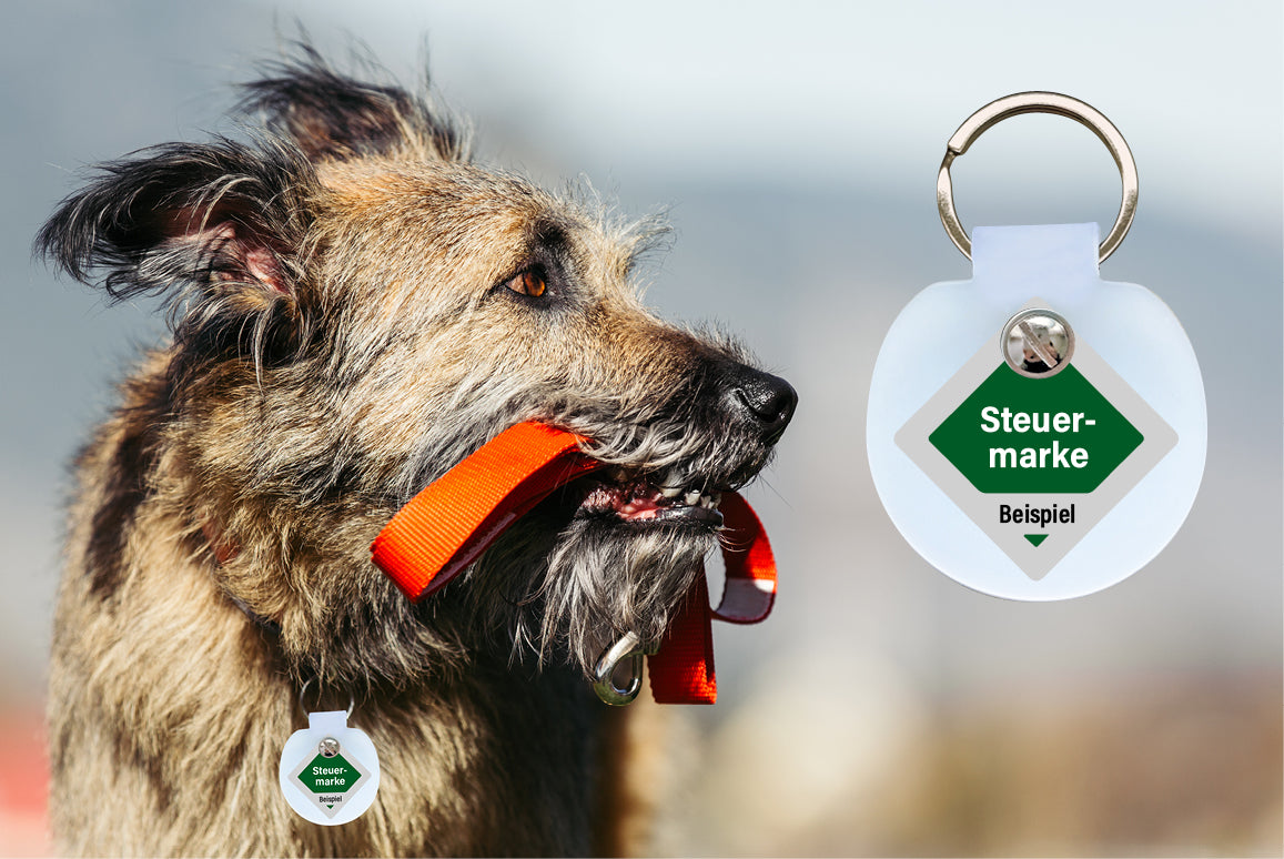 Das Human Basic Modell sorgt dafür, dass die Hundemarke geräuschlos getragen werden kann.