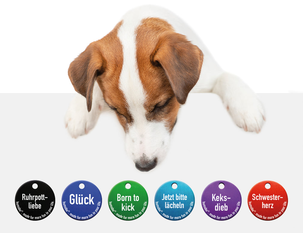 Humabu, der antiklimper Hundemarkenbund, Hundezubehör, Hundebedarf, Halsband, Geschirr, Hundemarke geräuschlos, klapperfrei, Hundemarke Gravur, Hundemarkentasche