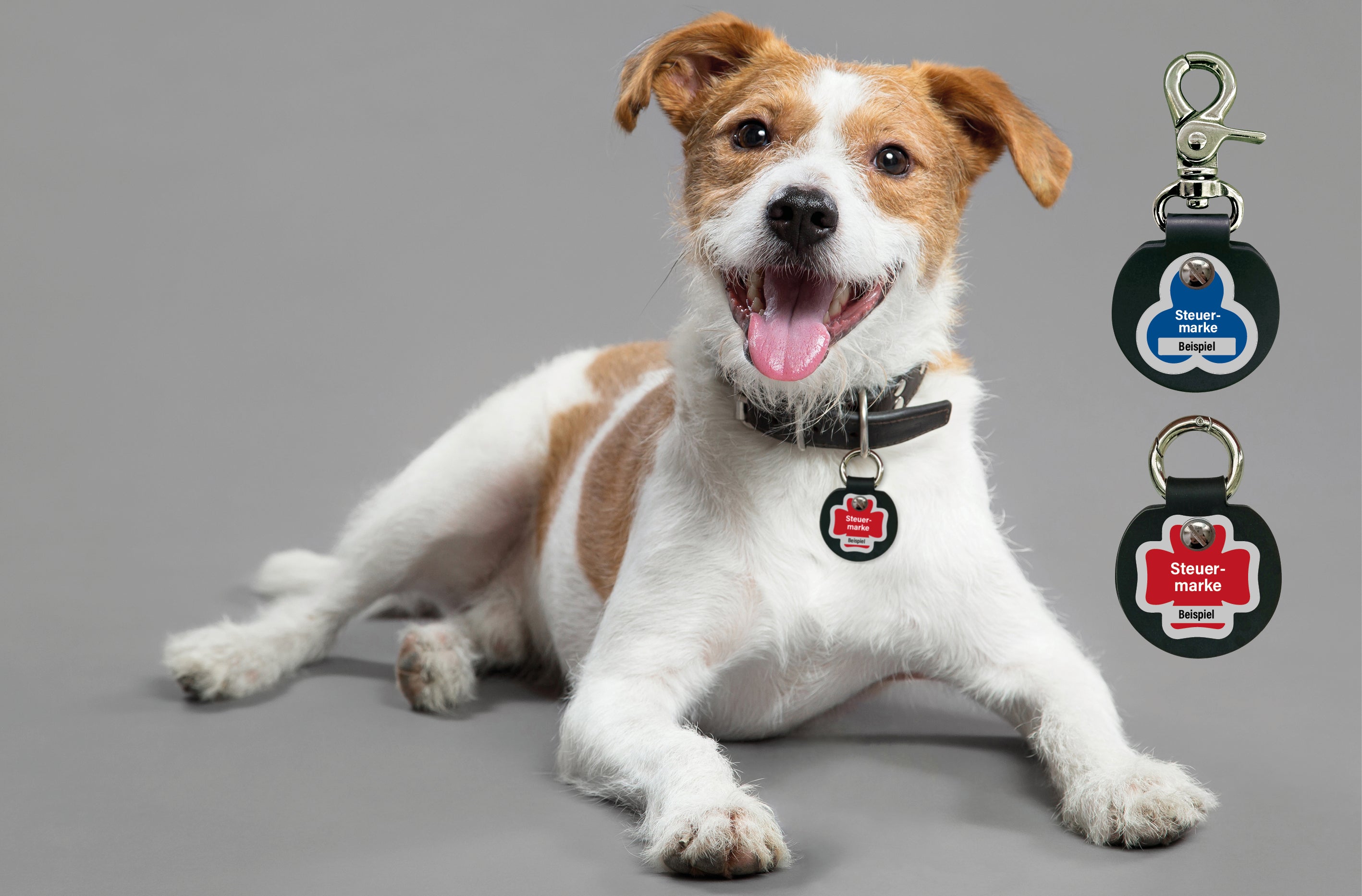 Humabu, der antiklimper Hundemarkenbund, Hundemarke klapperfrei, Hundemarkentasche wetterfest